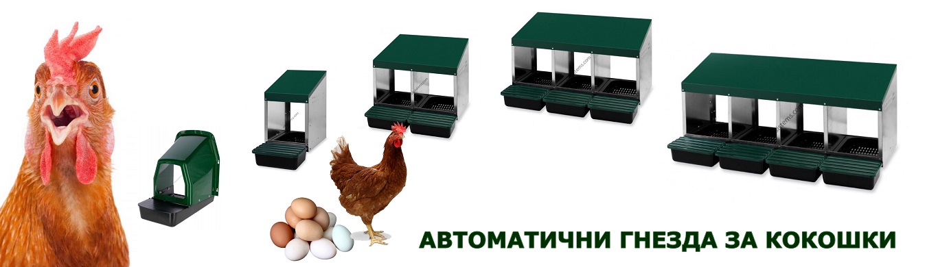 Гнезда за Кокошки