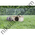 Ъглова къщичка за гризачи - 25x25x17см. - KERBL
