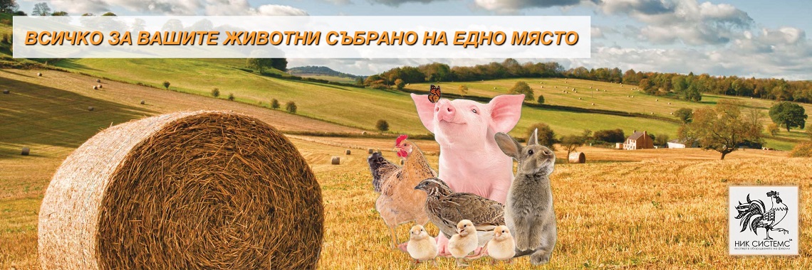 niksistems-new-wsichko-za-vashite-zhivotni-sabrano-