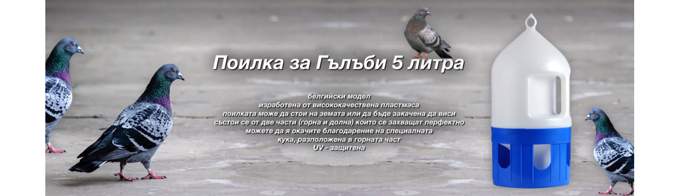Поилка за гълъби